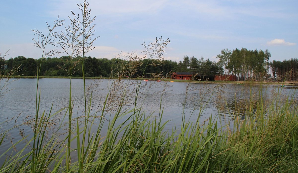 Start a nature journal to notice seasonal changes